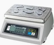 CAS SW Series Scale
